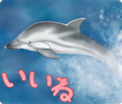 A little surreal dolphin! sticker #8079874