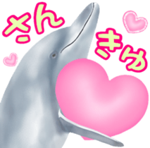 A little surreal dolphin! sticker #8079876