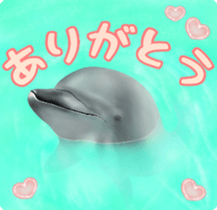 A little surreal dolphin! sticker #8079878