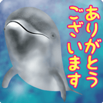 A little surreal dolphin! sticker #8079879