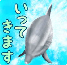 A little surreal dolphin! sticker #8079880