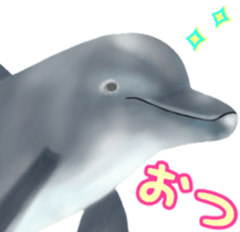 A little surreal dolphin! sticker #8079885