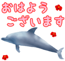 A little surreal dolphin! sticker #8079892