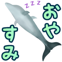 A little surreal dolphin! sticker #8079896