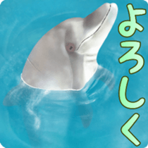 A little surreal dolphin! sticker #8079901