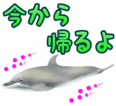 A little surreal dolphin! sticker #8079903