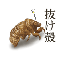 Stickers of the insects sticker #8080724