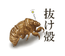 Stickers of the insects sticker #8080724