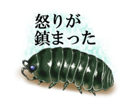 Stickers of the insects sticker #8080727