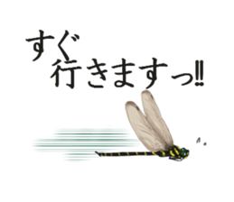 Stickers of the insects sticker #8080728