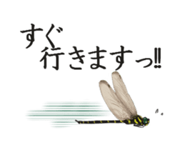 Stickers of the insects sticker #8080728