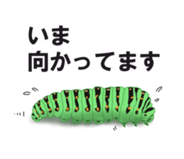 Stickers of the insects sticker #8080729