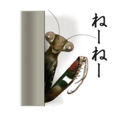 Stickers of the insects sticker #8080731