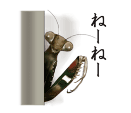 Stickers of the insects sticker #8080731