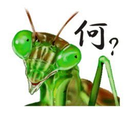 Stickers of the insects sticker #8080732