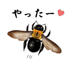 Stickers of the insects sticker #8080735