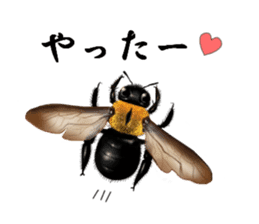 Stickers of the insects sticker #8080735