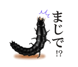 Stickers of the insects sticker #8080744