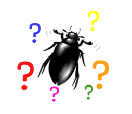 Stickers of the insects sticker #8080750