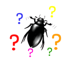 Stickers of the insects sticker #8080750