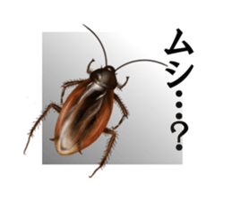 Stickers of the insects sticker #8080751