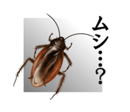 Stickers of the insects sticker #8080751