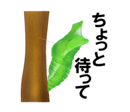 Stickers of the insects sticker #8080752