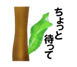 Stickers of the insects sticker #8080752