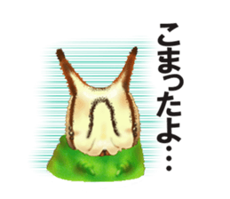 Stickers of the insects sticker #8080754