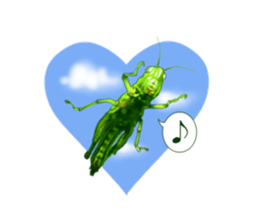 Stickers of the insects sticker #8080756