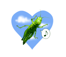 Stickers of the insects sticker #8080756