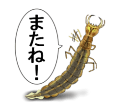 Stickers of the insects sticker #8080759