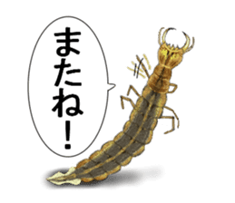 Stickers of the insects sticker #8080759