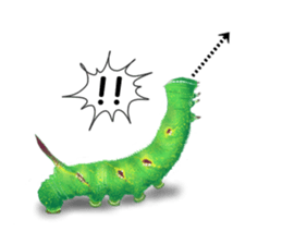 Stickers of the insects sticker #8080761