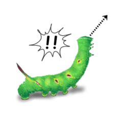 Stickers of the insects sticker #8080761