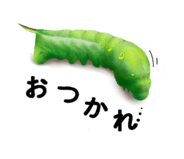 Stickers of the insects sticker #8080762