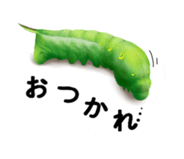 Stickers of the insects sticker #8080762