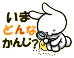Funny Rabbit & Chick LIVE ver. sticker #8081553