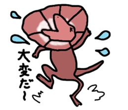 Get together! animal sticker sticker #8081674