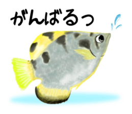 Aquarium drawn further in color penci2l sticker #8082205