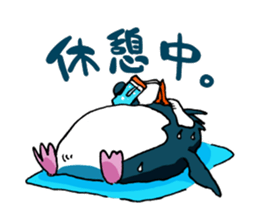 Surfer penguin sticker #8082944