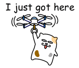 Stray cat[NORASUKE] English sticker #8083201