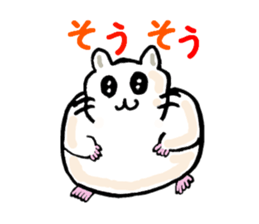 Various hamster sticker #8085975