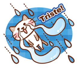 Gato fofo!Portuguese version.(cute cat) sticker #8087271