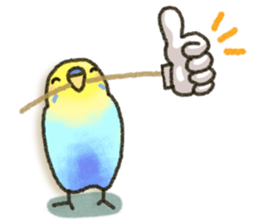 Budgerigar ! sticker #8087285