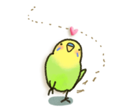 Budgerigar ! sticker #8087295
