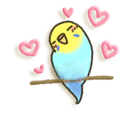 Budgerigar ! sticker #8087299