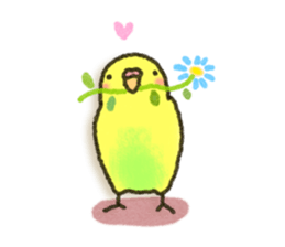 Budgerigar ! sticker #8087304