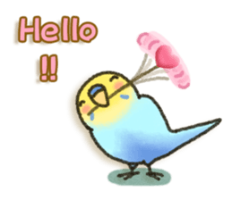 Budgerigar ! sticker #8087306