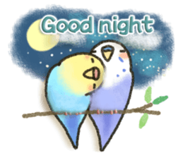 Budgerigar ! sticker #8087322